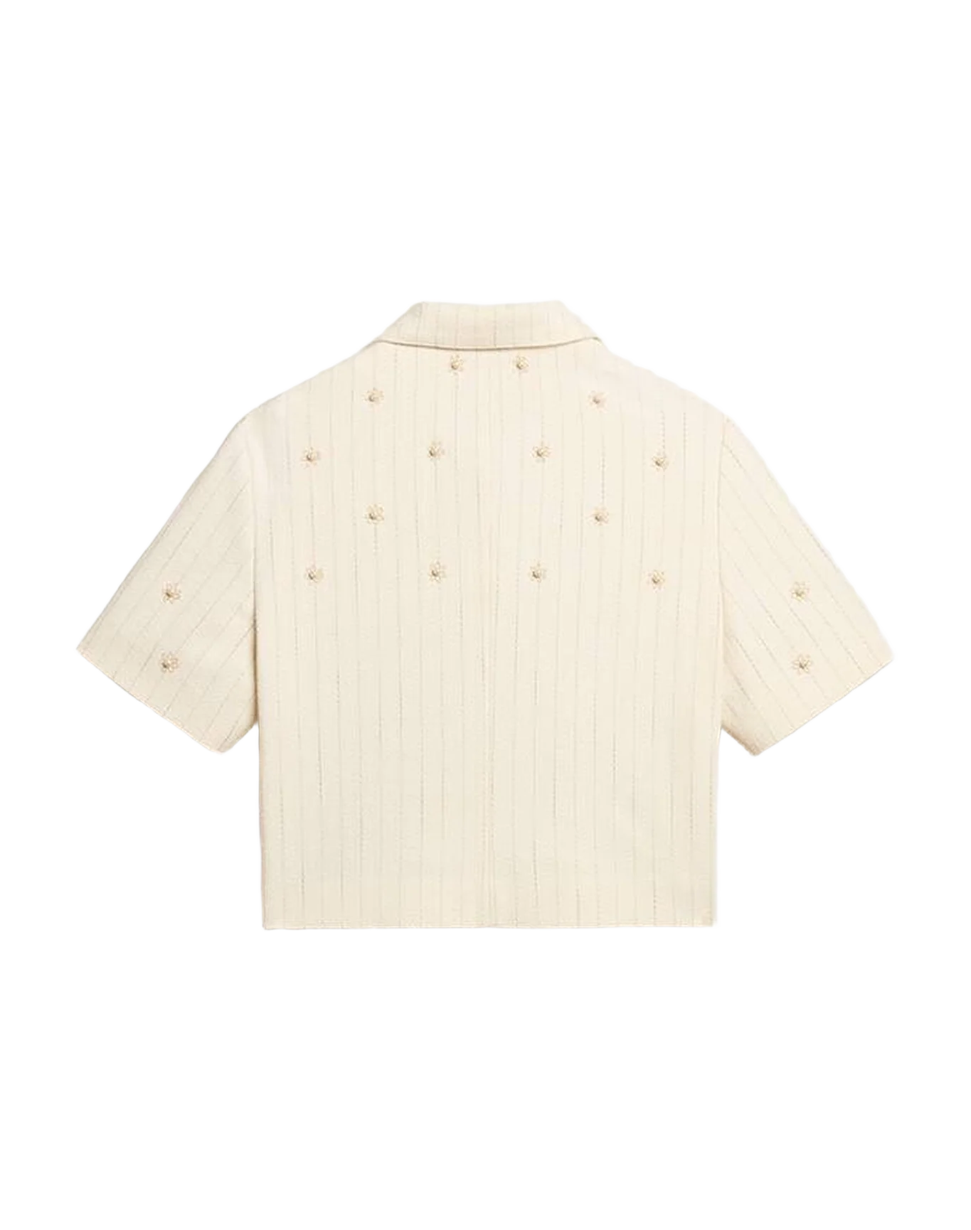 Women | Aged Jacket In Pinstripe Cotton With All Over Floral Embroidery | Heritage White x Opal Gray - Image 5