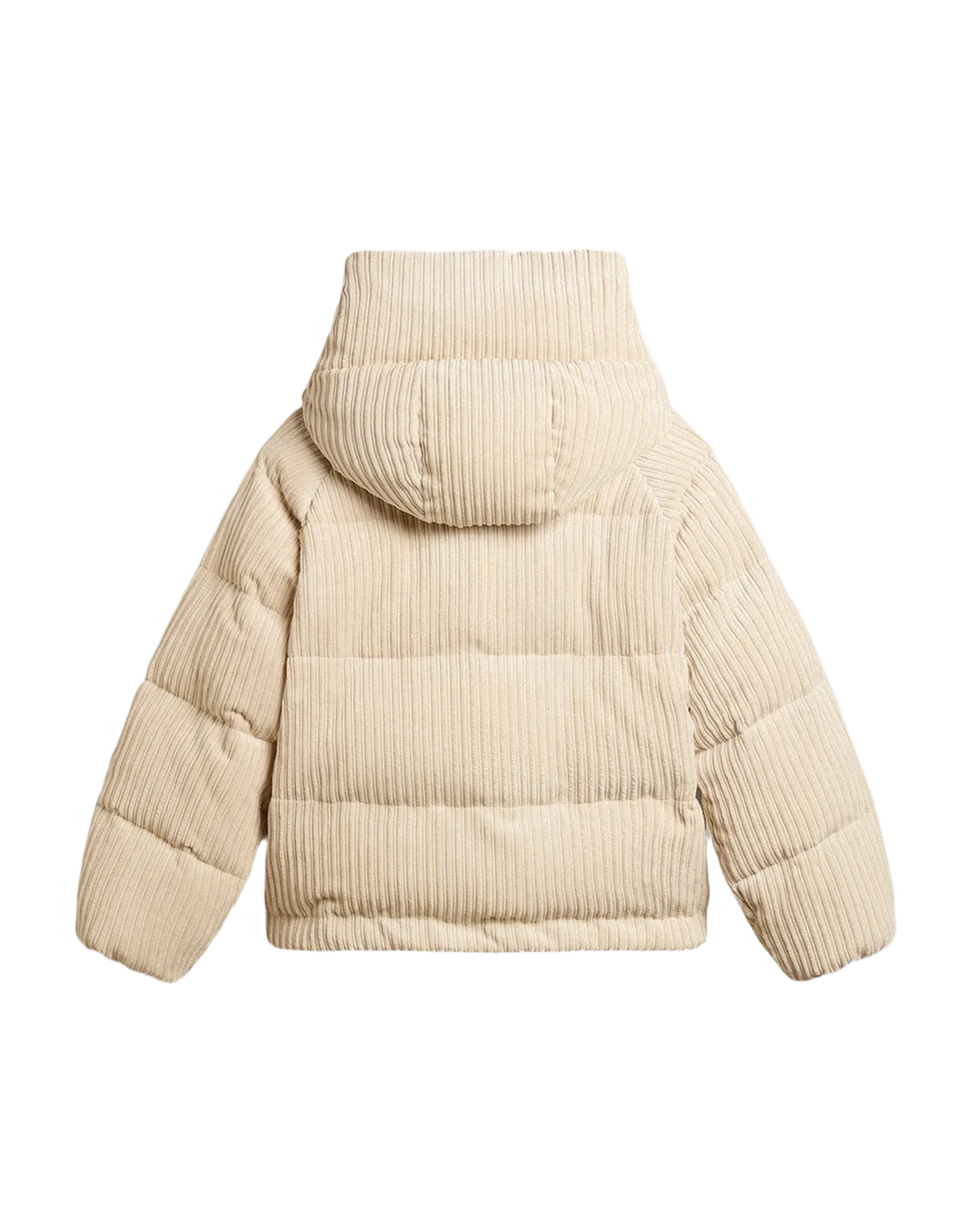 Women | Padded Ecodown Jacket With Zip Fastening And Hood | Papyrus - Image 4