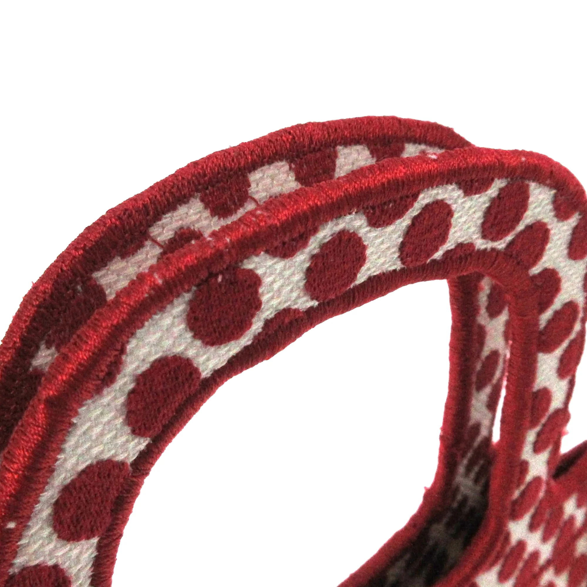 Dior | Pre-Owned DiorAmour Mini Embroidered Canvas Dots Book Tote | Red - Image 2