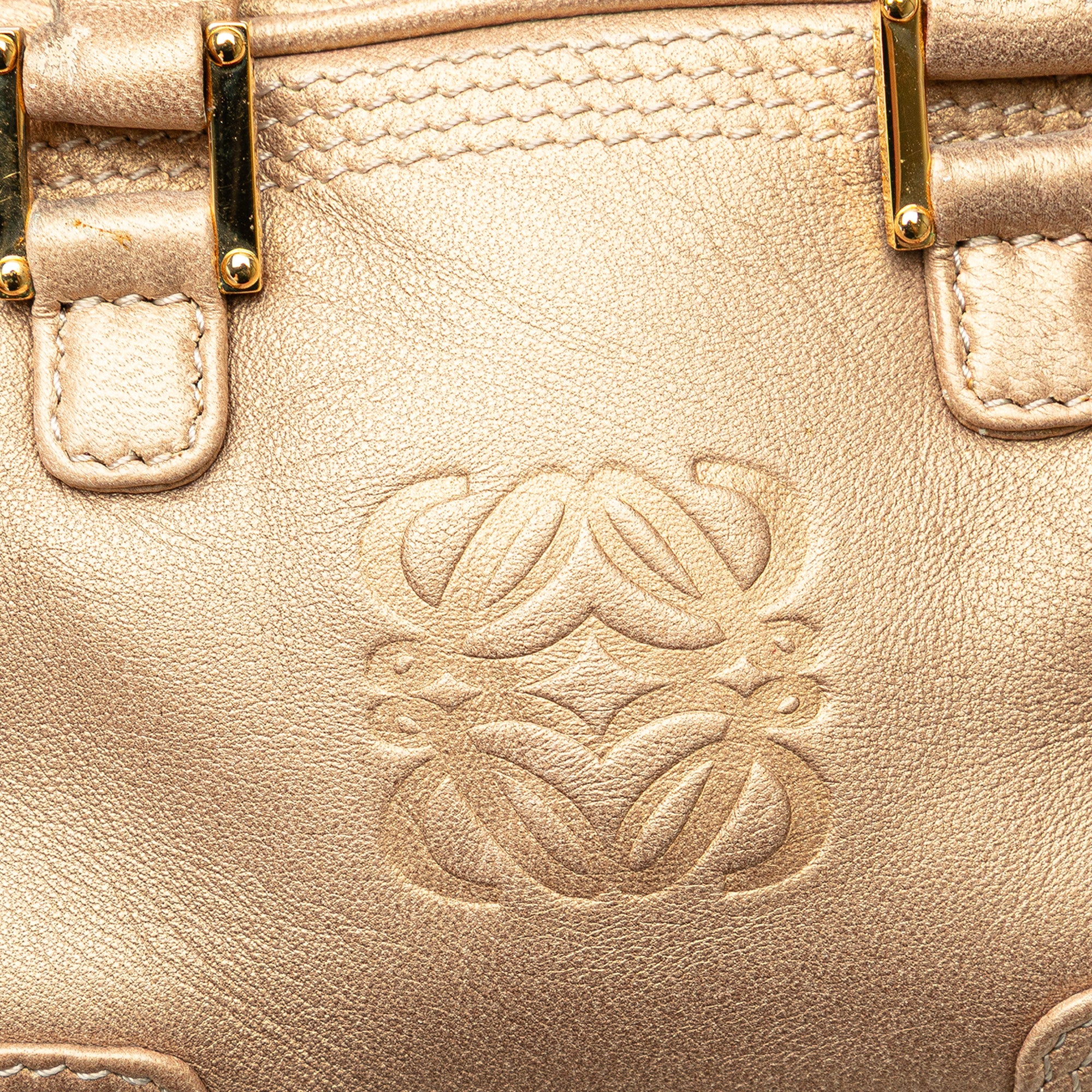 LOEWE | Pre-Owned Micro Metallic Leather Amazona Satchel | Gold - Image 11