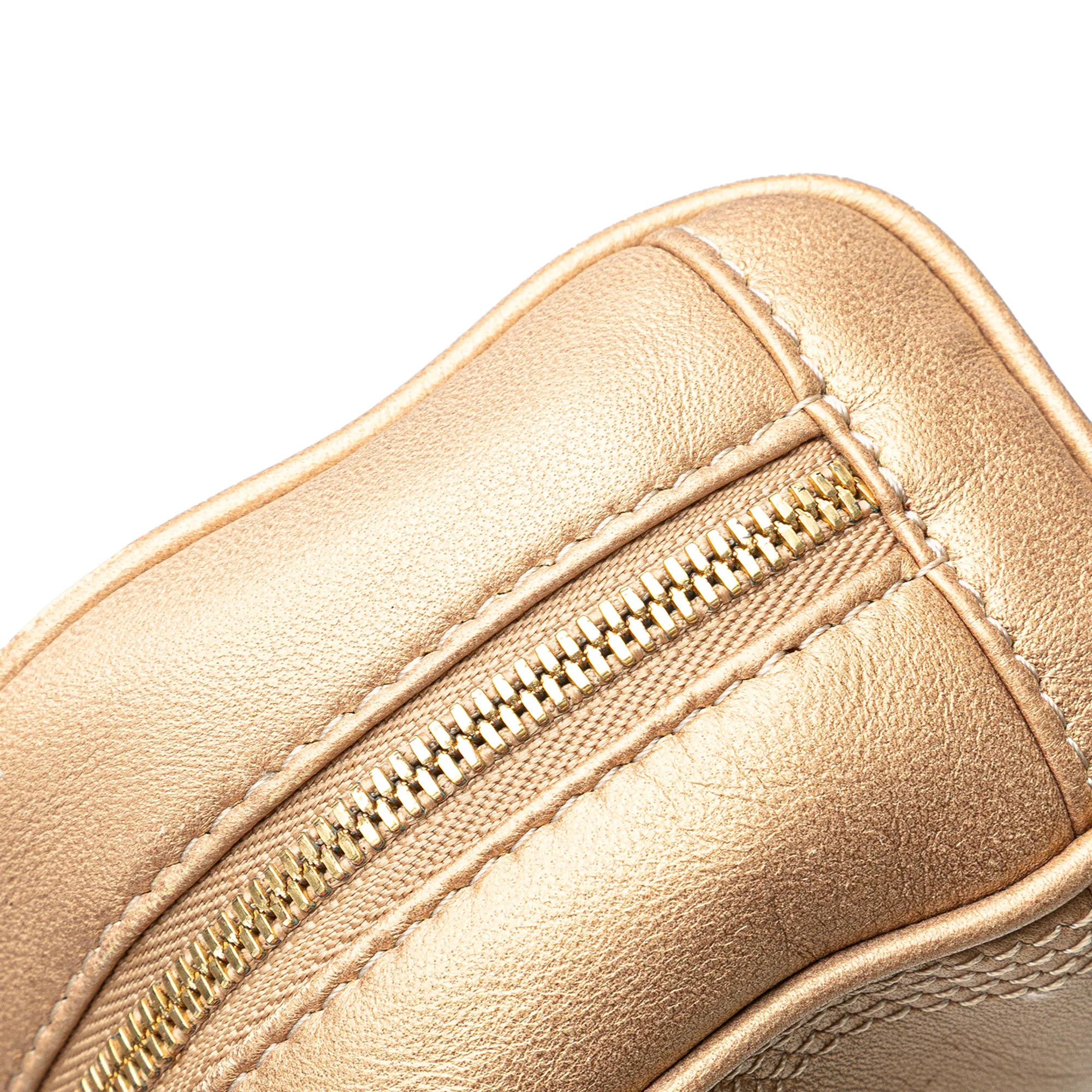 LOEWE | Pre-Owned Micro Metallic Leather Amazona Satchel | Gold - Image 12