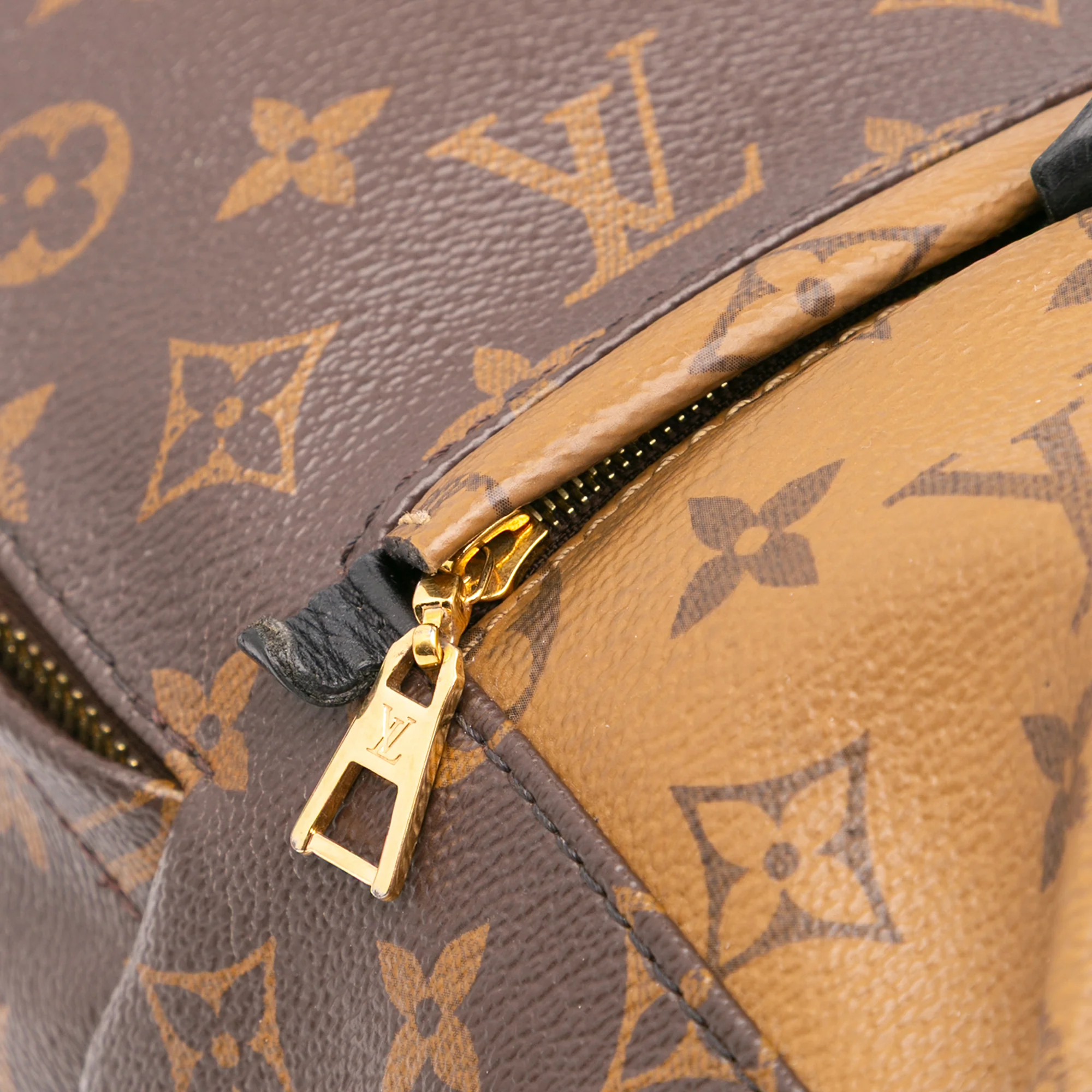 Louis Vuitton | Pre-Owned Monogram Reverse Palm Springs PM | Brown - Image 9