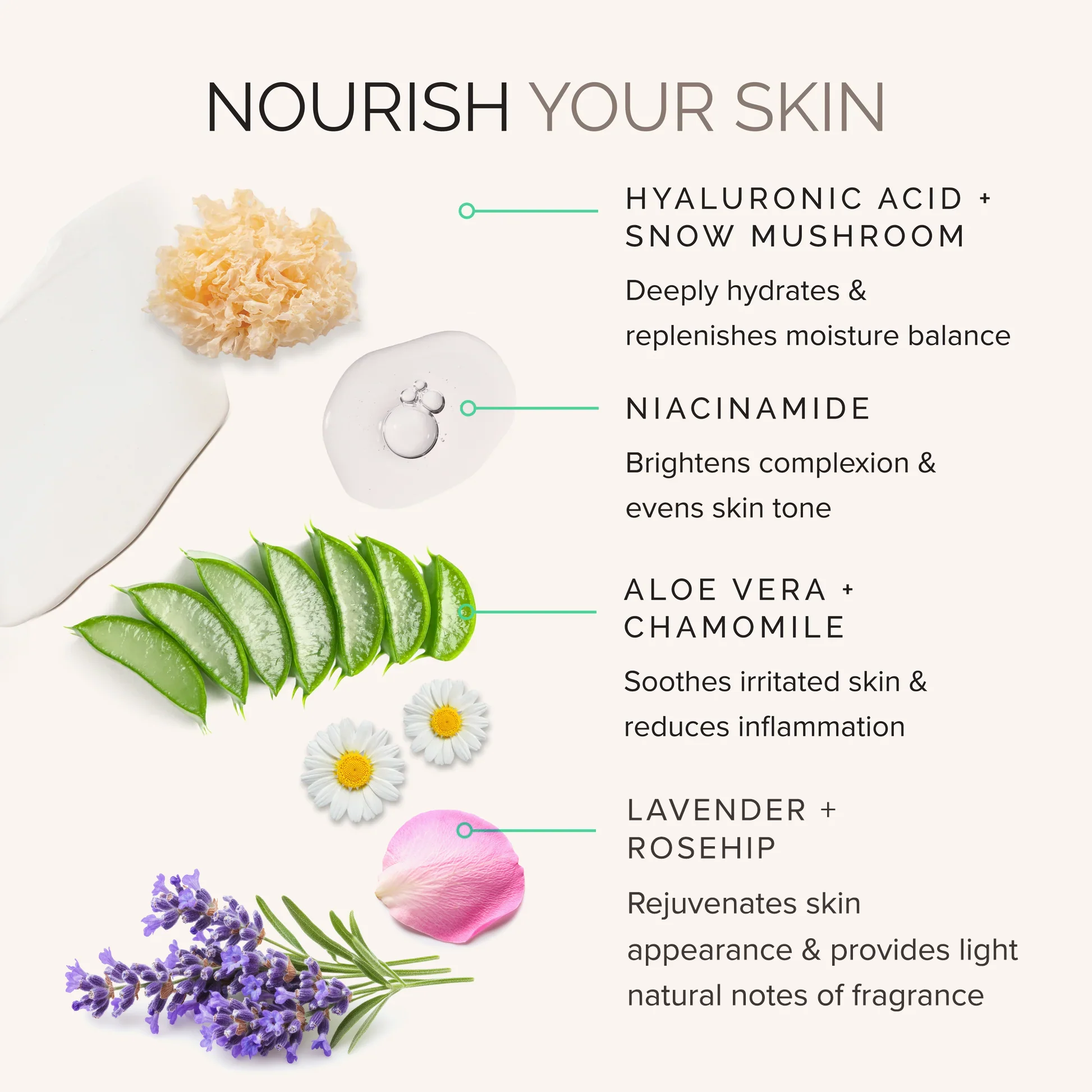Daily Perfecting Moisturizer SPF 30 - Image 3