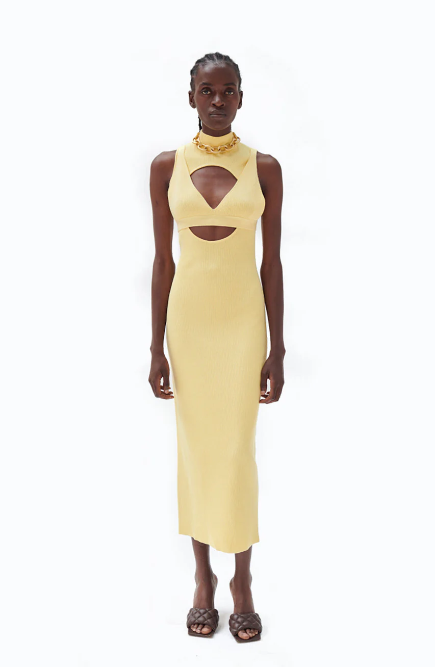 Darey Knit Dress | Pale Banana