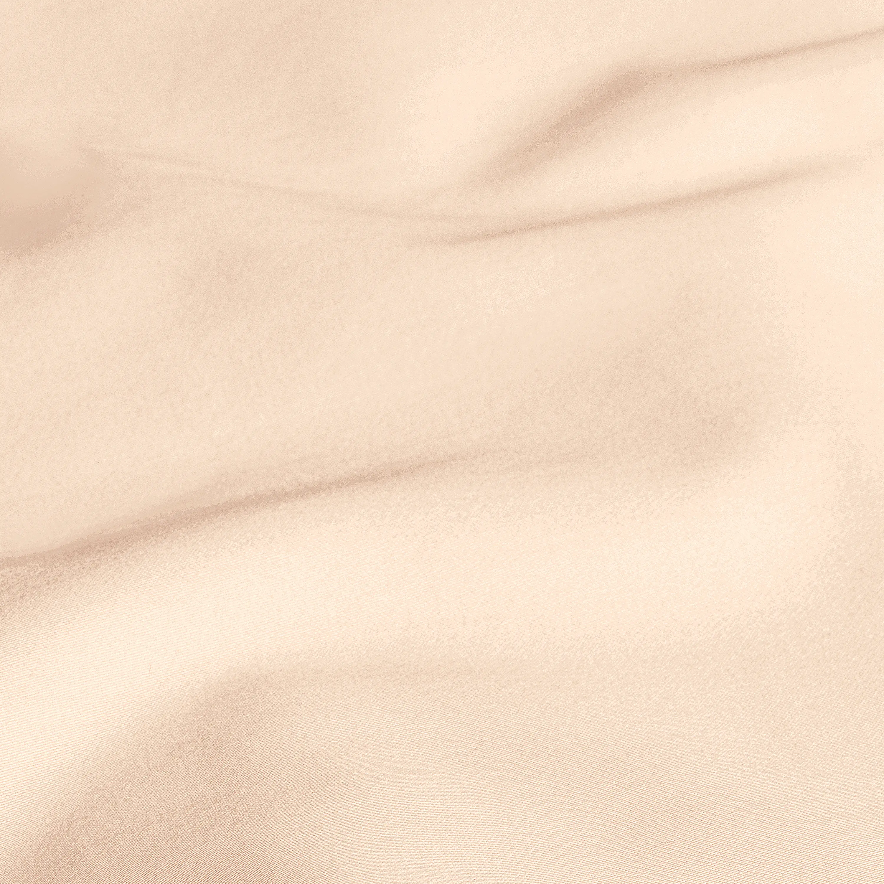 Flat Sheet - Rhapsody | Ecru | King - Image 3