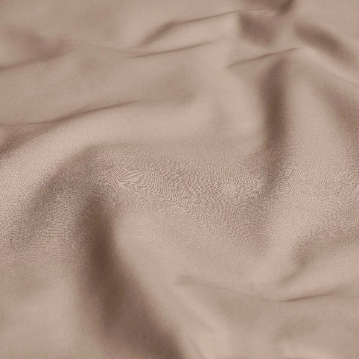 Flat Sheet - Rhapsody | Taupe | Super King - Image 3