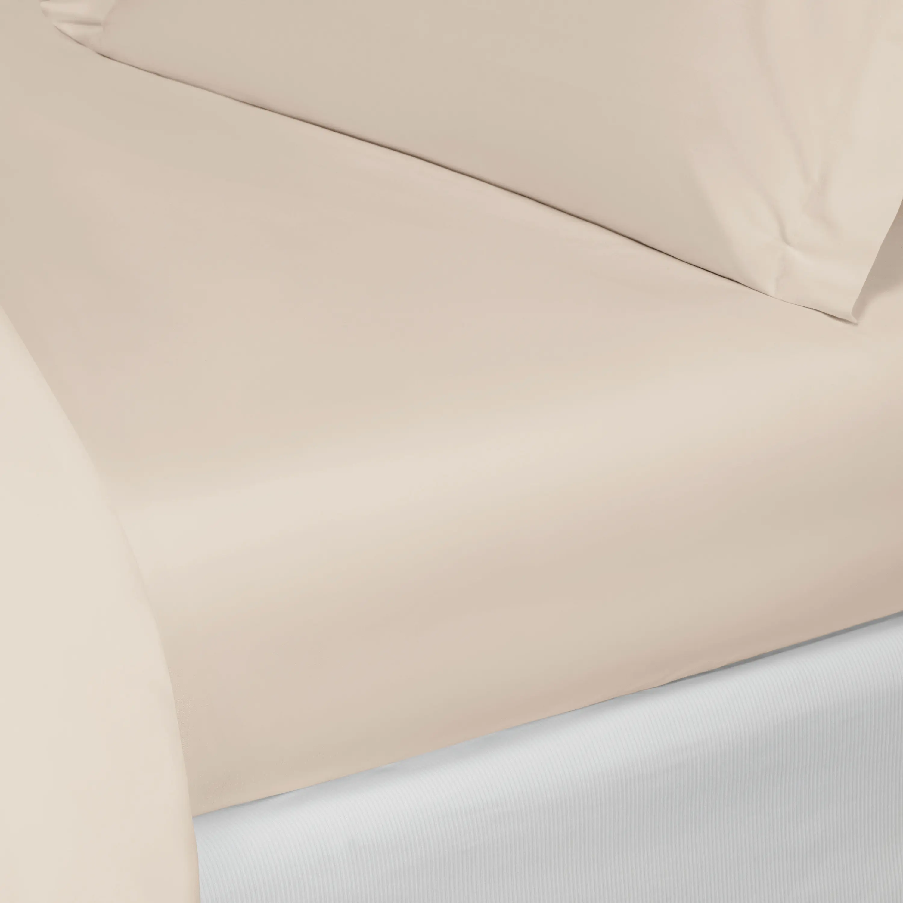 Flat Sheet - Royal | Ecru | Queen