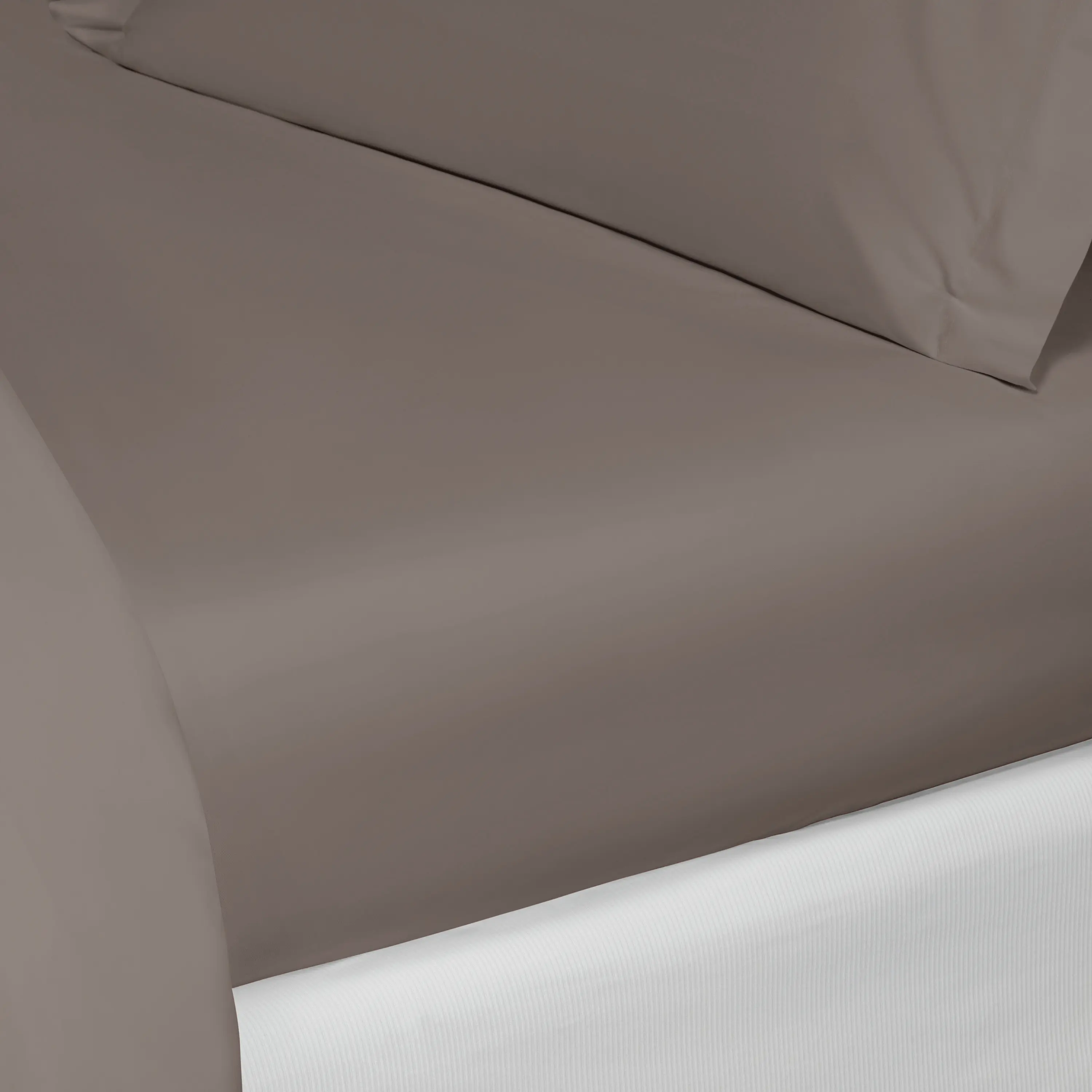 Flat Sheet - Royal | Taupe | Single