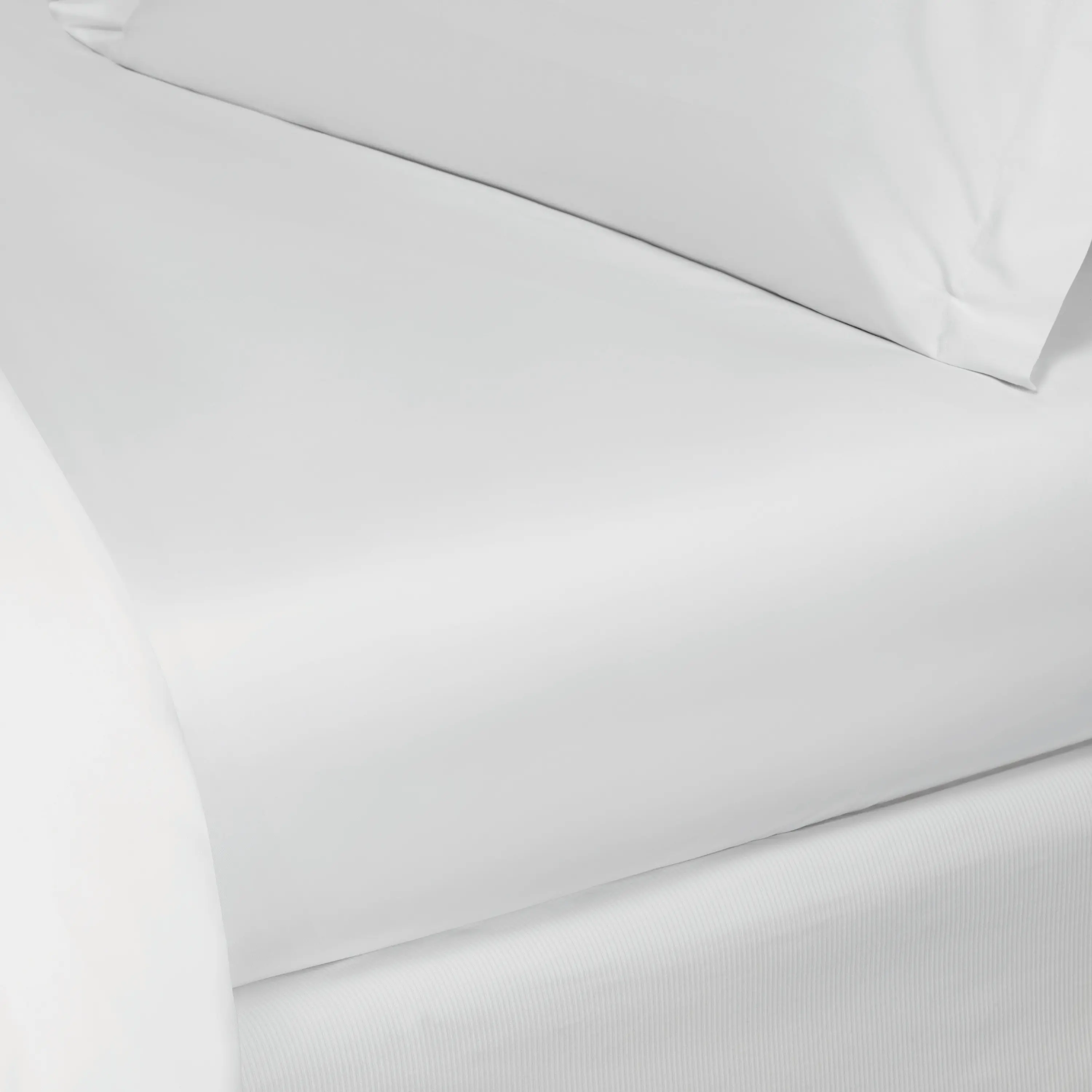Flat Sheet - Royal | White | Queen